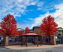 wait和hlt区别 wait和await的区别并举例 