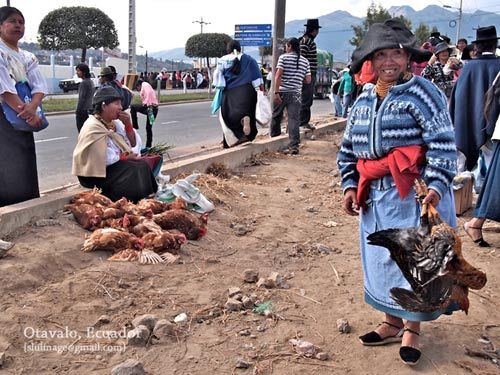 包含比利时风头一时无人可比，战胜厄瓜多尔的词条