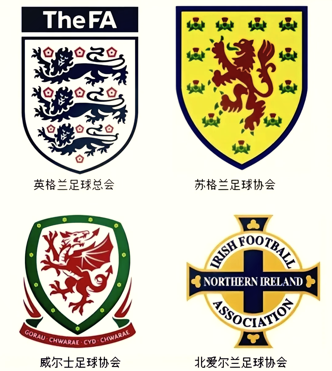 关于苏格兰客场-与北爱尔兰握手晋级的信息