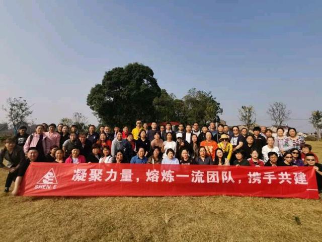 球场霸主再现辉煌，凭借团队默契赢得胜利的简单介绍